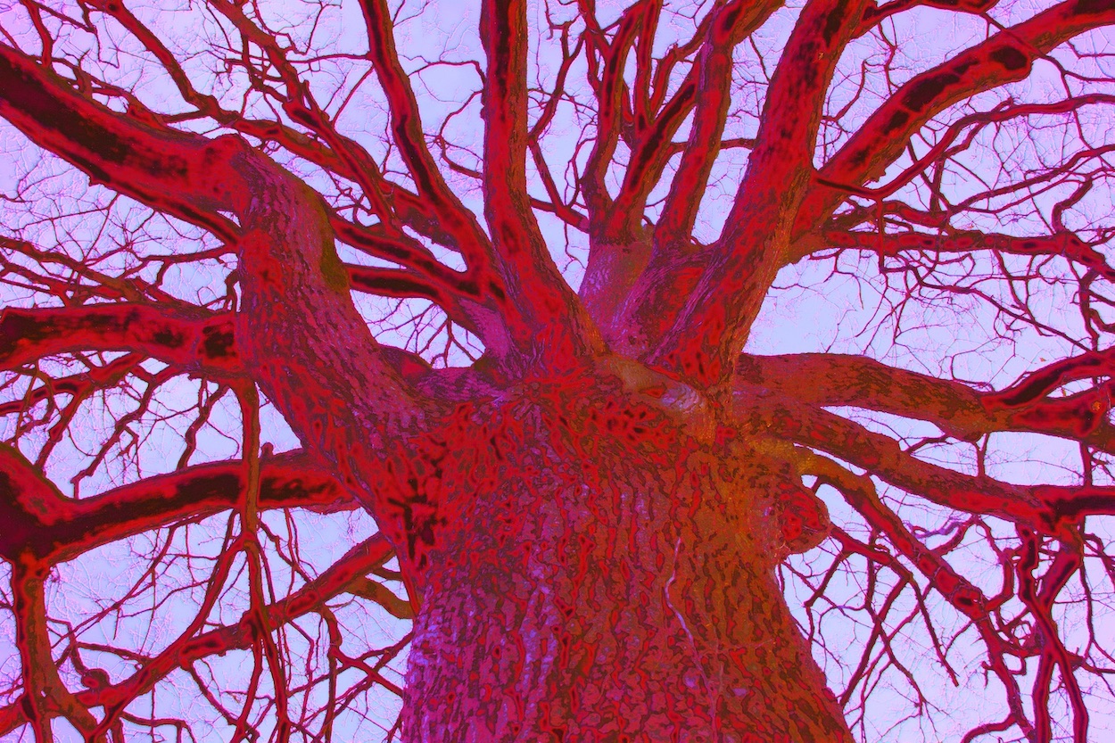 plants painting 3